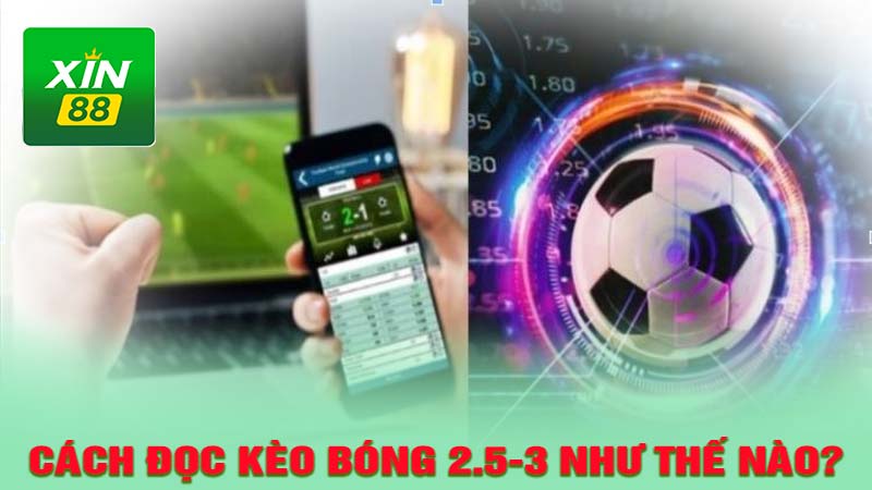 Cách đọc kèo bóng 2.5-3 như thế nào