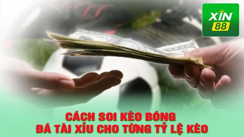 Cách soi kèo bóng đá Tài Xỉu cho từng tỷ lệ kèo